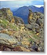 Rockcut In Rocky Mtn National Park Metal Print