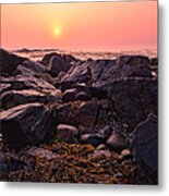 Rocks And Seaweed Sunrise On The Nh Seacoast Metal Print