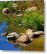 A Clear Reflection Metal Print