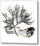 Rockweed And Mussel Metal Print