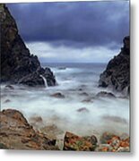 Rocky Forster 0002 Metal Print