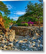 Rocky Garden Walk Metal Print