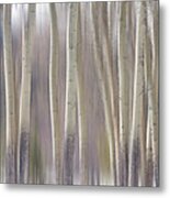 Rocky Mountain Winter Aspen Tree Forest Dream Metal Print