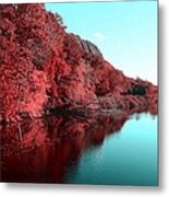 Rojo Metal Print