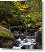 Rolley Creek Fall Colours Metal Print