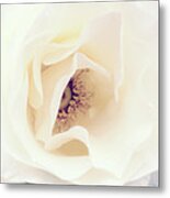 Romance In A Rose Metal Print