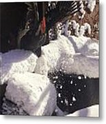 Rooster In Deep Snow Metal Print