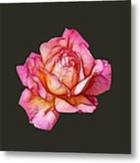 Rose By Any Other Name Metal Print