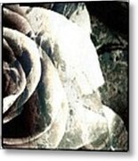 Rose In Retro Metal Print