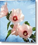 Rose Of Sharon Metal Print