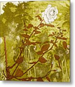 Rose Metal Print