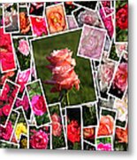 Roses Collage Metal Print