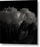 Roses Metal Print