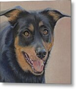 Rottweiler - Drawing Metal Print