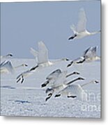 Running Into The Sky Metal Print