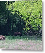 Rural Virginia Scenic Iii Metal Print