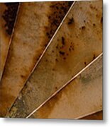 Rusty Spiral Staircase Close Up Metal Print