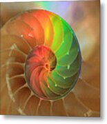 Sacred Spiral Rainbow Metal Print