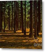 Sacred Warrior Grove Metal Print