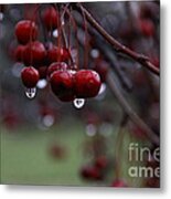 Sad Baby Berry Metal Print