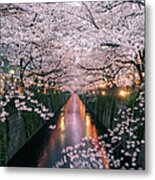 Sakura On Meguro River Metal Print