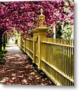Salem Walkway Shrouded By Spring Flowers Metal Print