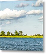 Saltwater Wetlands Metal Print