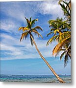 San Blas Dreaming Metal Print