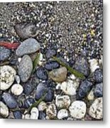 Sand And Rocks On Beach Metal Print