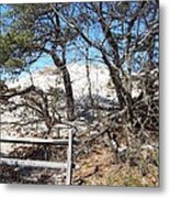 Sand Dune With Trees Metal Print