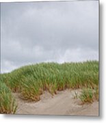 Sand Dunes And Grass Metal Print