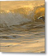 Sanderlings Metal Print