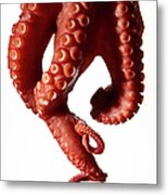 Sashimi Octopus Tentacles Isolated Metal Print
