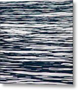 Scanning For Whales Metal Print