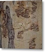 Scribbly Gum Art Portrait G Metal Print