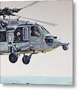 Sea Hawk Metal Print