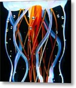 Sea Nettle Jellyfish Metal Print