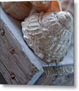 Sea Shells 2 Metal Print