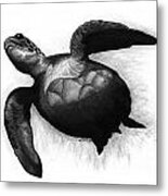 Sea Turtle Metal Print