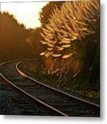 Seacliff Tracks At Sunset Metal Print