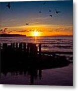 Seagul Metal Print