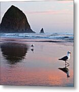 Seagulls And Haystack Rock Metal Print