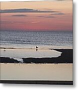 Seagulls On The Seashore Metal Print