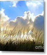 Seaside Grass And Clouds Metal Print