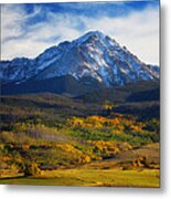 Seasons Change Metal Print