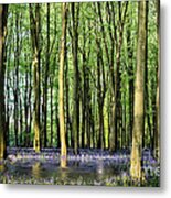 Secret Pond In Bluebell Woods Metal Print