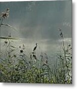 Spirit Guide Metal Print