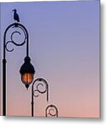 Sentinel At Sunset Metal Print