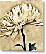 Sepia Macro Flower Metal Print