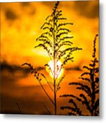 Setting Sun Metal Print